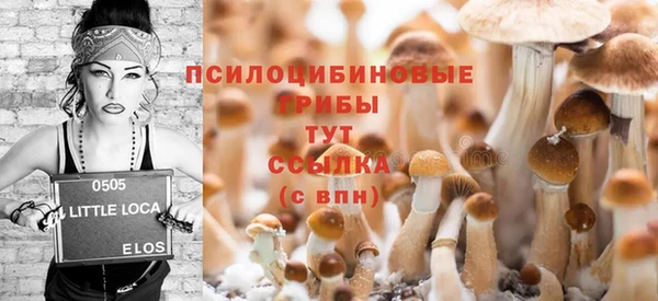 скорость Зерноград
