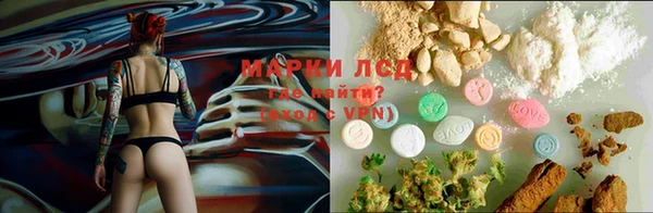 скорость Зерноград
